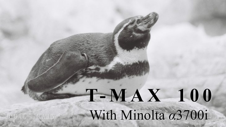 【写真作例付き】初モノクロフィルムはKodak T-MAX 100を動物園で
