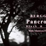 【写真作例付き】高階調な白黒フィルム Bergger(ベルゲール) Pancro 400をマミヤ35 ルビーで