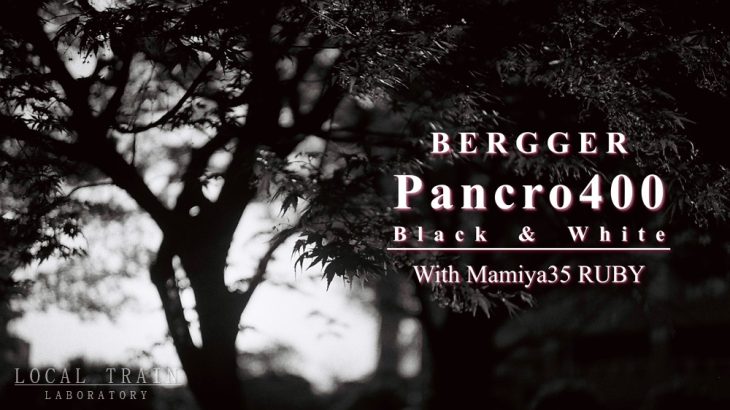 【写真作例付き】高階調な白黒フィルム Bergger(ベルゲール) Pancro 400をマミヤ35 ルビーで