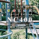 【写真作例付き】ORWOの限定版カラーフィルムWOLFEN NC400の赤が好き