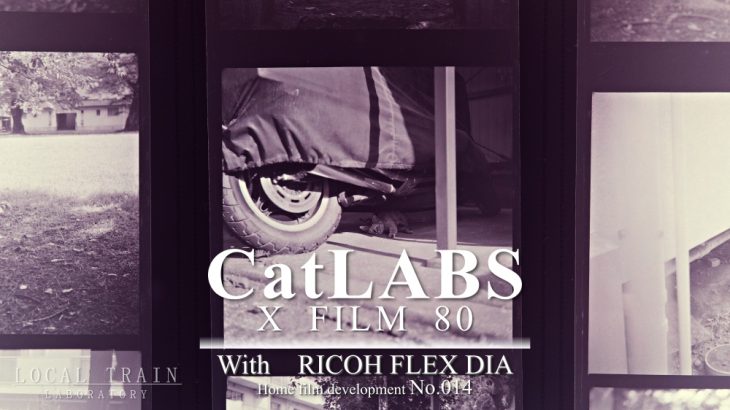 【写真作例付き】二眼レフにCatLABS X FILM 80を装填して猫を撮りまくる【モノクロ自家現像No.014】