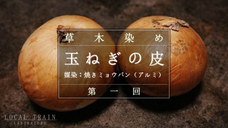 玉ねぎの皮を使った自宅での初・草木染め