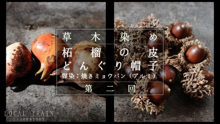 くぬぎのどんぐり帽子とザクロの皮で草木染め