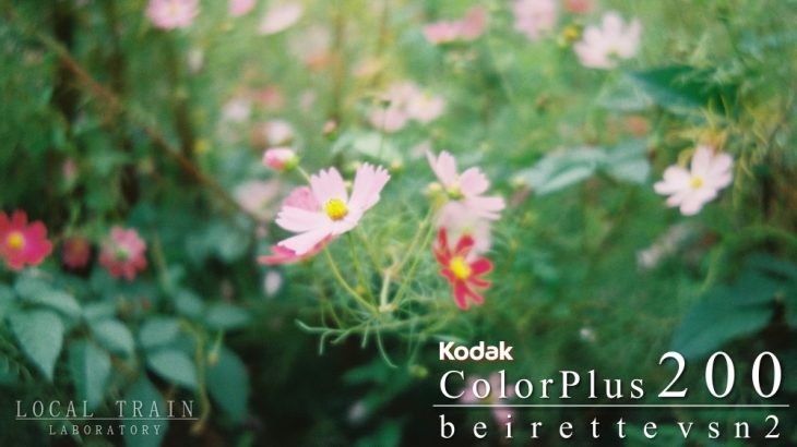 【写真作例付き】Kodak Color Plus 200を東ドイツ製Beirette（バイレッテ） vsn2で