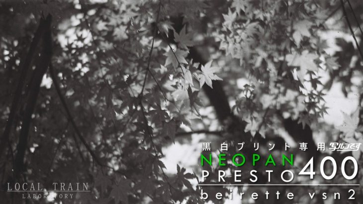 【写真作例付き】20世紀末に期限切れの「黒白プリント専用写ルンです」と東ドイツ製Beirette vsn2で